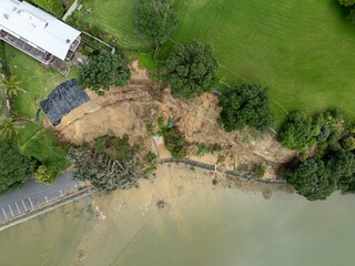 Erosion flood damage of Pohtukawa trees falling from the cliffs from severe tropical storms....