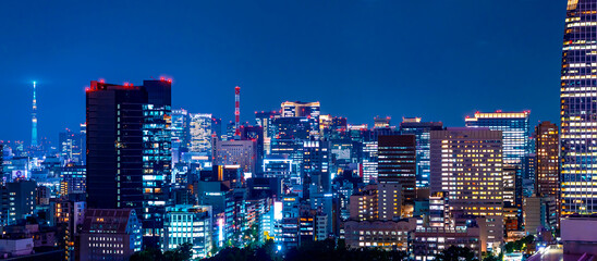 Skyscrapers and highways through Minato, Tokyo, Japan