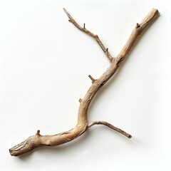 Twig driftwood twig white background isolated on white background  