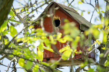 Wooden birdhouse on a tree.