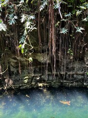 tropical waterfall