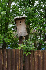 Wooden birdhouse on a tree.
