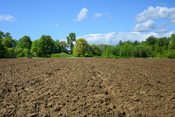 Agricultural farm field plowed ready for spring planting with brown soil under blue ky 