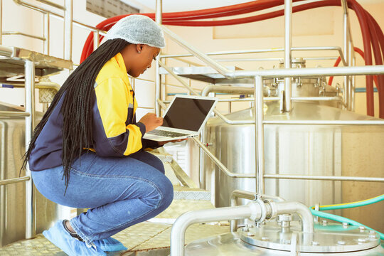 Wine industry : Portrait African American female looking at camera quality control worker working in a winery holding laptop computer recording data checking quality winery every production process.