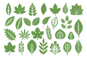 A Set of 25 pcs Doodle leaf shapes vector. hand drawn design elements isolated on white background for infographic. vector illustration black Silhouette Design with white Background 