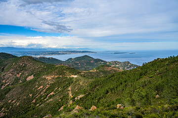 Fototapeta premium A view to the sea in Esterel