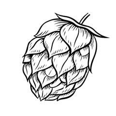 Cone of hop. A vector black-and-white hand-drawn illustration highlighted on a white background. Design elements for pub or restaurant menus, label and poster, logo and packaging