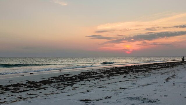 Anna Marina Island / Beach Sunsett 2024