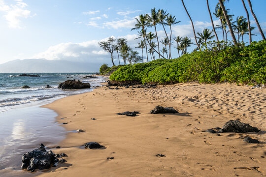 Tropical vacation paradise, golden sandy beach at sunset with lava rock and palm trees, Mōkapu Beach, Maui, Hawaii
