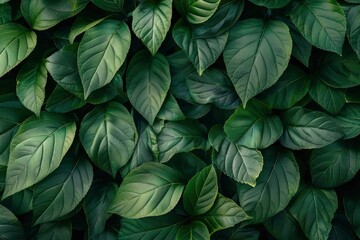 Green leaves pattern background, Natural background and wallpaper - generative ai