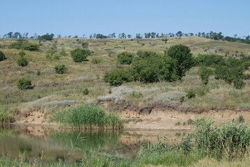 Hillside on the bank of a small river. Summer day in the countryside. On the slope of a high hill grass grows, trees and bushes have green leaves. The grass was partially burned out by the sun.