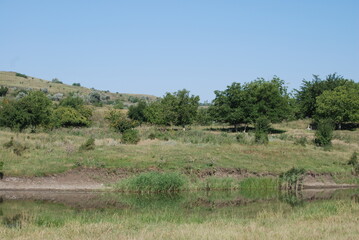 Hillside on the bank of a small river. Summer day in the countryside. On the slope of a high hill grass grows, trees and bushes have green leaves. The grass was partially burned out by the sun.