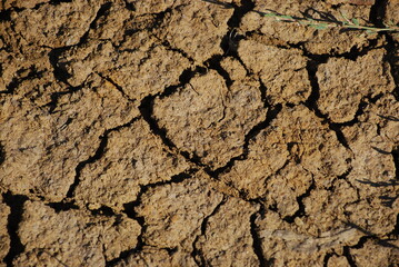 Cracked earth under the sun. Under the bright rays of the southern sun, earth dried out and cracked. Cracks of various shapes and sizes are visible on its surface. Rare green grass grows on the ground