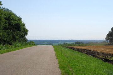 Summer day in farmers' fields. The gray asphalt road goes down and into the distance like a narrow ribbon. Around there are fields with green vegetation, forest belts with trees with green foliage.