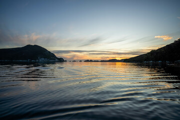 mountains in a wilderness in a national park with native plants and trees in a rainforest in Australia, forest growing in a national park in Tasmania. with rivers and exploring in new zealand