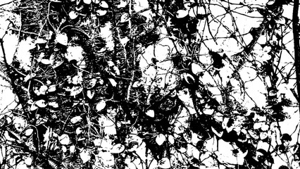 5-2. Dry ivy texture effect - illustration. Old glue black and white vector texture.