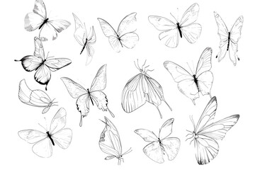 vector world wild animals, mammals, fish, reptiles, and birds. Rare animals. Funny flat characters, good for banners, prints, patterns, infographics, children's book illustrations etc generated ai