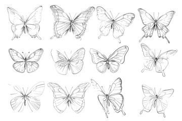 vector world wild animals, mammals, fish, reptiles, and birds. Rare animals. Funny flat characters, good for banners, prints, patterns, infographics, children's book illustrations etc generated ai