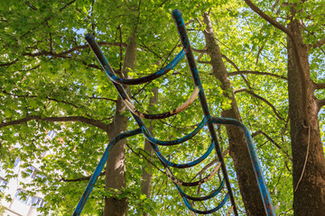 A blue metal ladder is hanging from a tree