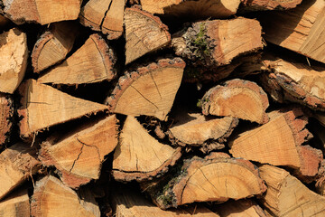 A pile of wood logs with a lot of bark on them