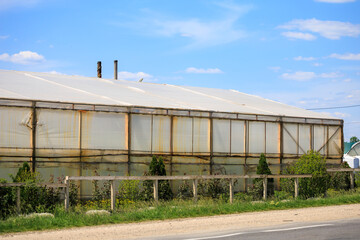 Obraz premium A large greenhouse with a lot of plants and a fence