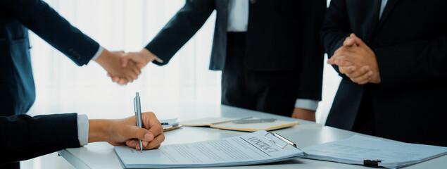 Two business executive shake hand in boardroom, sealing agreement merging two company. Handshake...