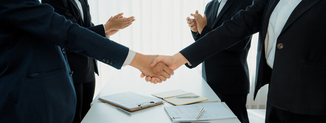 Two business executive shake hand in boardroom, sealing agreement merging two company. Handshake...