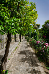 View of the Alhambra gardens in Granada Spain