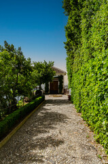 View of the Alhambra gardens in Granada Spain