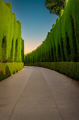 View of the Alhambra gardens in Granada Spain