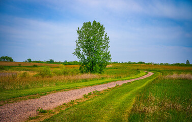 Fototapeta na wymiar Dirt road, horizon, and the big sky: Tranquil midwestern farmland summer landscape in Hartford, Minnehaha County, South Dakota