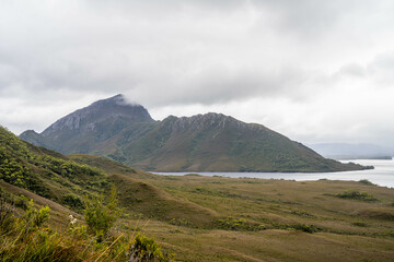 Fototapeta premium mountains in a wilderness in a national park with native plants and trees in a rainforest in Australia, forest growing in a national park in Tasmania. with rivers and exploring