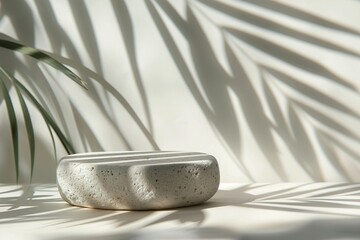 Marble podium with palm leaf shadow on the wall