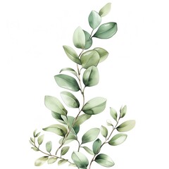 A watercolor painting of a eucalyptus branch with green leaves.