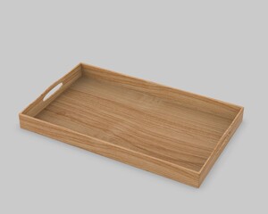 Food And Beer Tray and Bar Serving Tray For Branding, Blank  template 3d illustration.