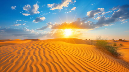 Naklejka premium sunset over the desert