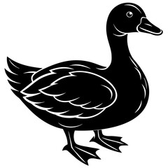 duck--silhouette-black-color vector 