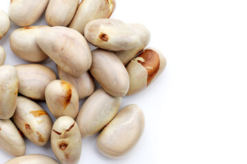 Jackfruit seeds on white background.