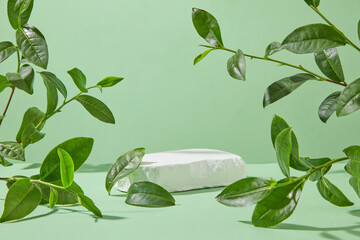 A blank plaster pedestal featured in the center of photo against light green texture, plenty green tea branches decorated around. Advertising photo with blank space for presentation and adding text