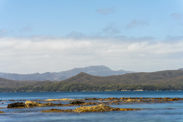 sailing on a yacht in the australian in the remote forest wilderness in spring, with waves breaking on a beach on the australian coastline
