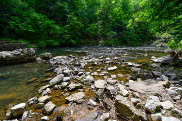 A Walk by the Cahaba River in Birmingham, Alabama