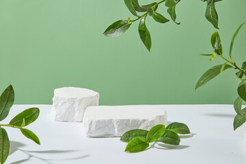 The white countertop containing two empty pedestals of plaster material over light green background. Photo has many space for displaying product of green tea ingredient, frontal shot