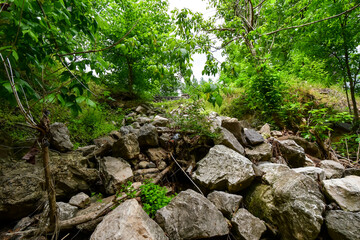 Fototapeta premium A Walk by the Cahaba River in Birmingham, Alabama