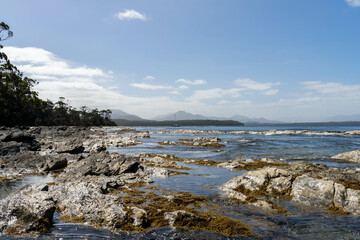 sailing on a yacht in the australian in the remote forest wilderness in spring, with waves breaking on a beach on the australian coastline