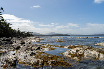 sailing on a yacht in the australian in the remote forest wilderness in spring, with waves breaking on a beach on the australian coastline