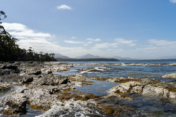 sailing on a yacht in the australian in the remote forest wilderness in spring, with waves breaking on a beach on the australian coastline