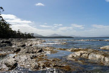 sailing on a yacht in the australian in the remote forest wilderness in spring, with waves breaking on a beach on the australian coastline
