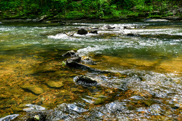 A Walk by the Cahaba River in Birmingham, Alabama