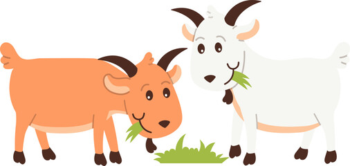 Farm goats eat green grass during Eid al-Adha