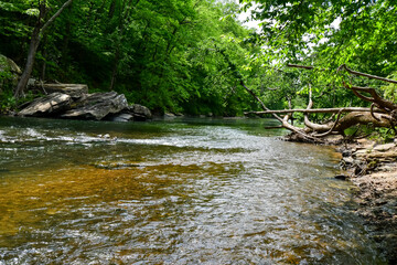 Fototapeta premium A Walk by the Cahaba River in Birmingham, Alabama